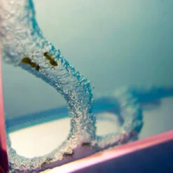 Super Fourmilière -Créatifs Cadeaux Magasin super fourmiliere deluxe 3