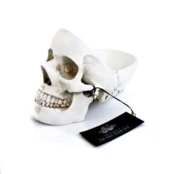 Vide-poches Tête De Mort 9 Vide-poches Tête De Mort -Créatifs Cadeaux Magasin vide poches tete de mort 3